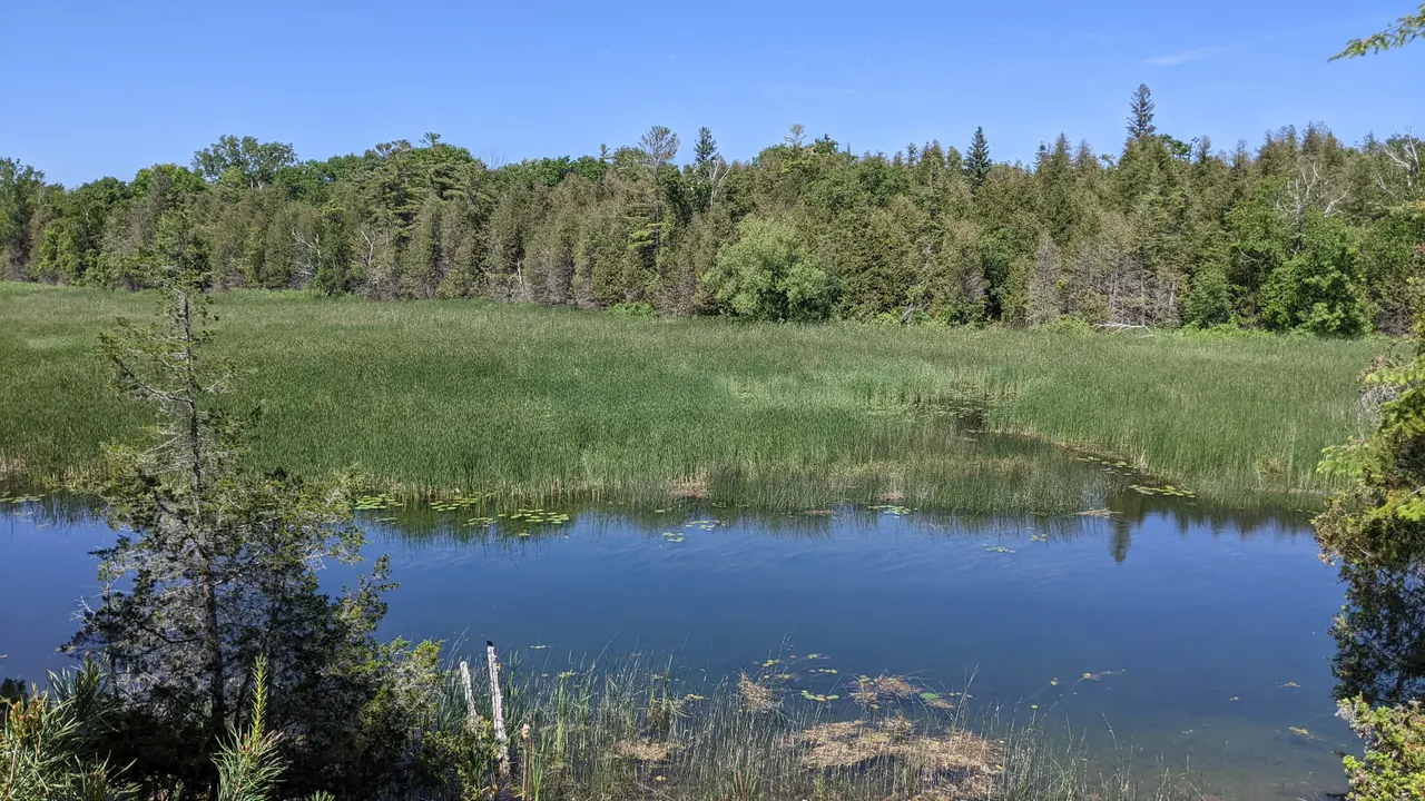 Outlet River and marsh vegetation at Sandbanks Provincial Park