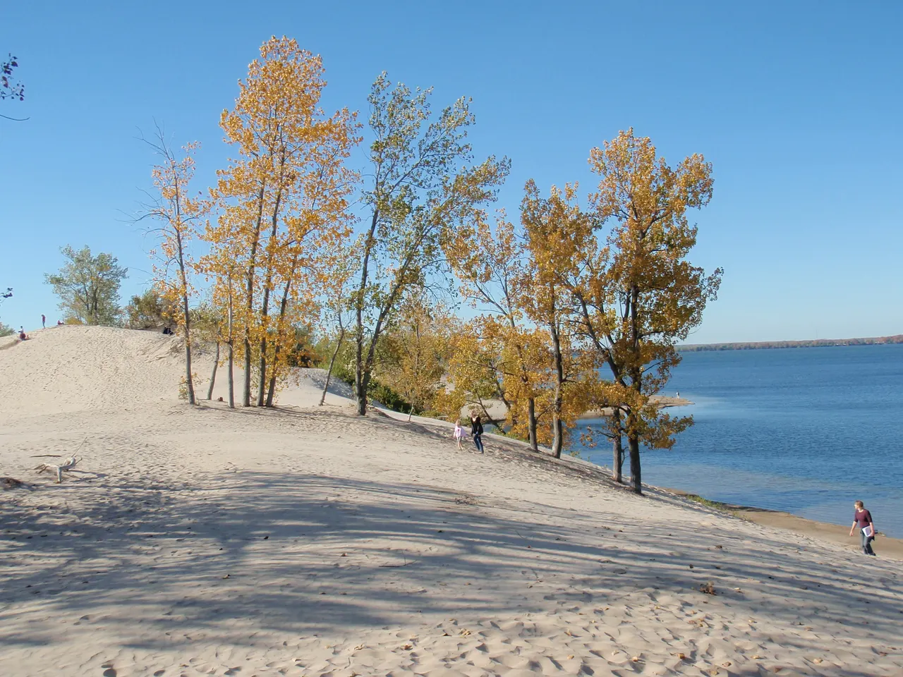 Visitors walking through sand dunes beside the water at Sandbanks Provincial Park
