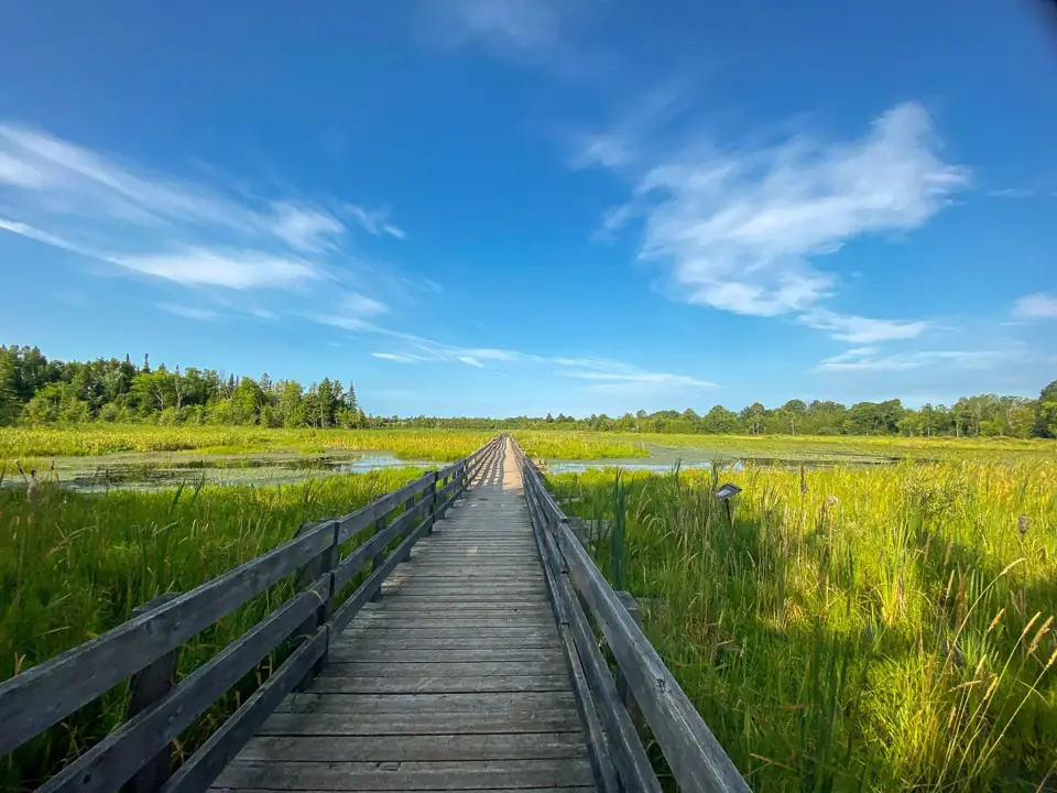 Boardwalk through the wetland at H.R. Frink Conservation Area