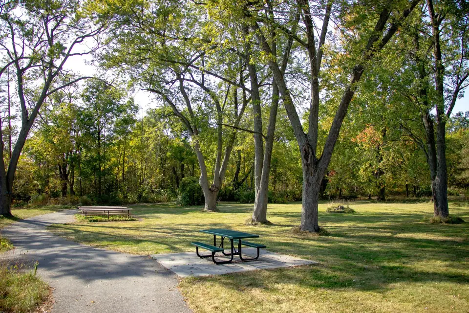 Path and picnic table at Potter’s Creek South Conservation Area