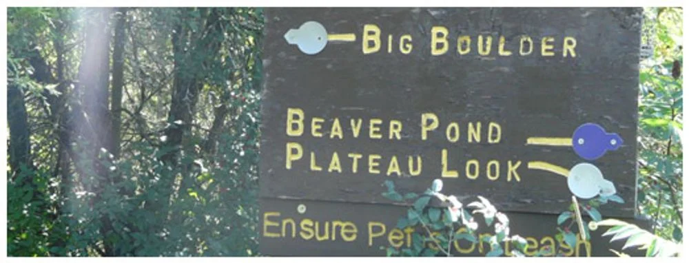 Trail direction sign at Bleasdell Boulder, photographed in woodland.