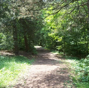 Woodland path at Hanna Park, as pictured in the City’s 2024 trail guide.