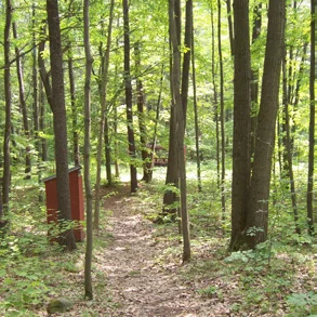 Woodland trail at Hollinger Park on Bird Road, as pictured in the City’s 2024 trail guide.
